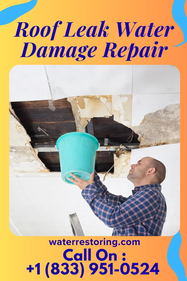 Roof Leak Water Damage Repair in Maxwell, NE